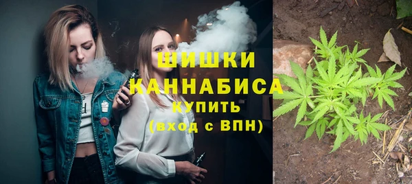 молекула духа Кинешма