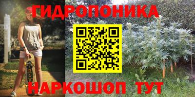 PSILOCYBIN Мариинск