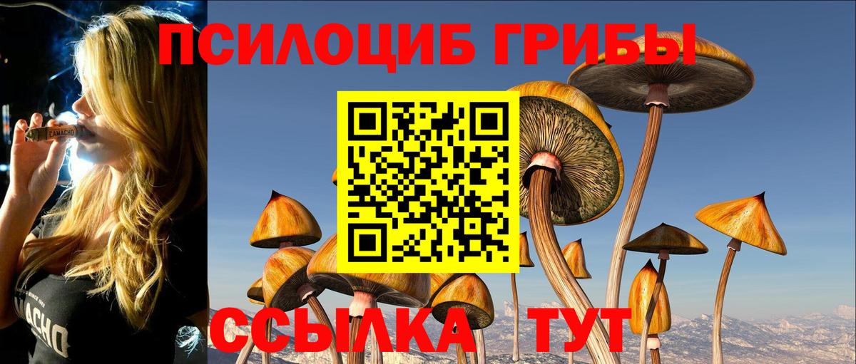 Галлюциногенные грибы Cubensis Реж