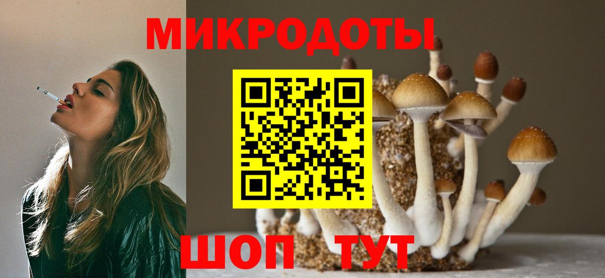 Псилоцибиновые грибы GOLDEN TEACHER  Галлюциногенные грибы мухоморы  Вход с VPN  Реж 